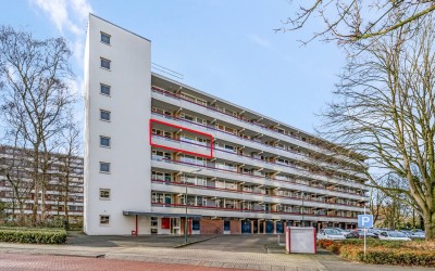 Prins Wille. 121