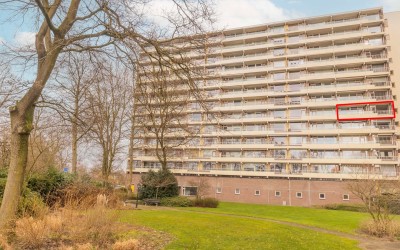 Prins Wille. 517