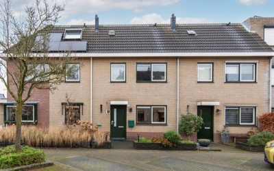 Aardbeivlin. 6