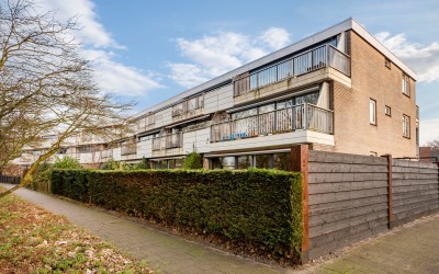 Ebbenhorst 3