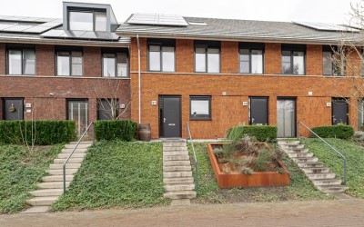 Zanglijster 97