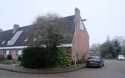 Wilgenroos 12