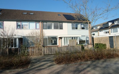Sleutelbloem 91