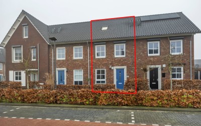 Kilse Suikerpeer 25