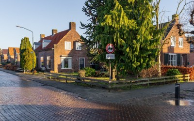 Wilhelminas. 2