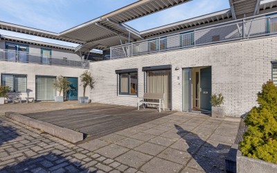 Goudplevier. 17