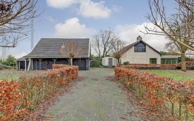 Drie Haasjes 5