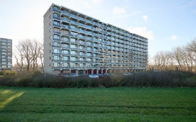 Churchillla. 962