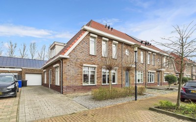 Tapijtschelp 30