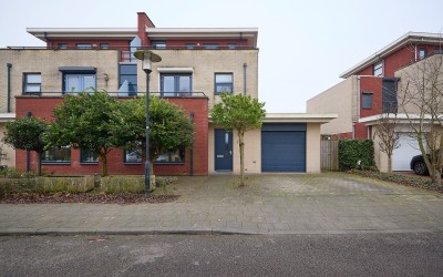 Ooievaar 5