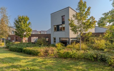 Steenarend 7