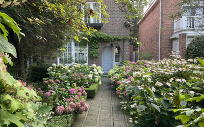 Axelsestraat 71