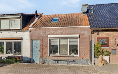 Kwakkel 23