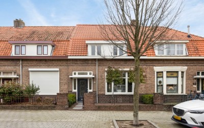 Koning Will. 10