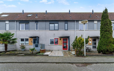 Visarend 5