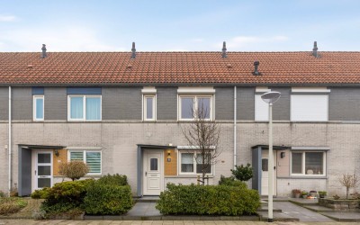 Grauwe Gans 8