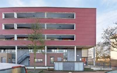 Burgemeeste. 369