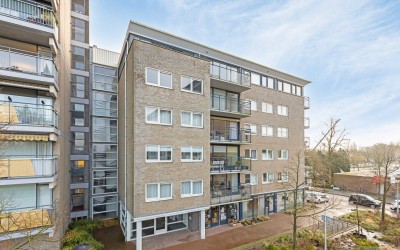 Lindenburg 107