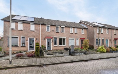 Braak 10