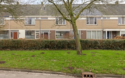Zeestraat 117