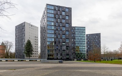 Nonnenveld 449