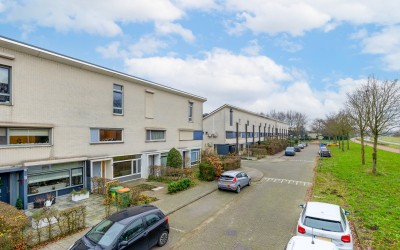 Kleine Vos 15