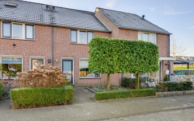Gouden Regen 5