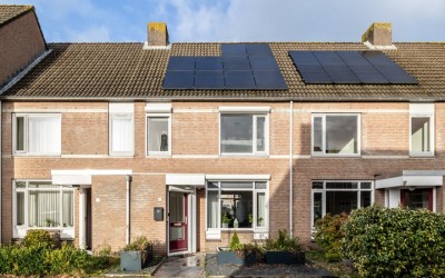 Schutsboom 7