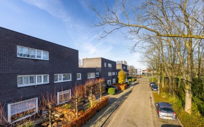 Buitenhof 53