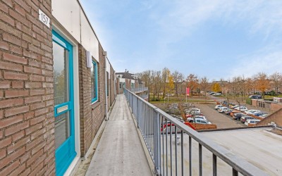 Schoonhout 157