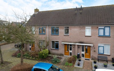 Roerdomp 123