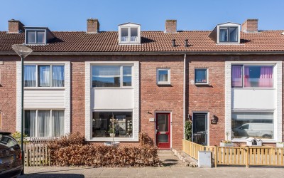 Graaf Wille. 31
