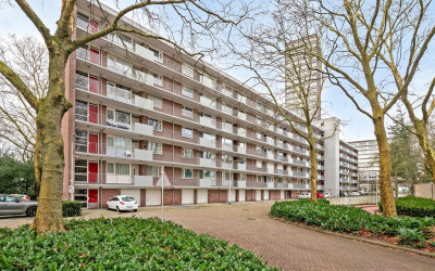 Cederstraat 79