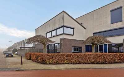 Metslawiers. 1