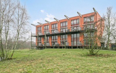 Bijsterveld. 393