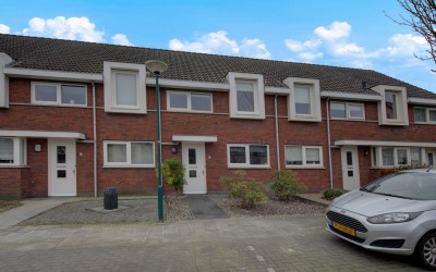 Boskriek 6