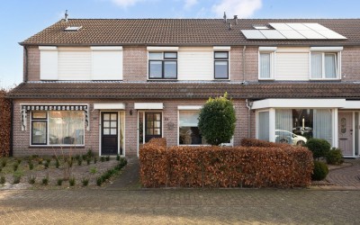 Koekoek 10