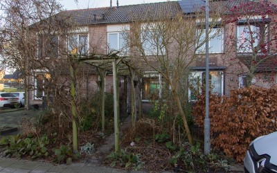 Koekoek 36