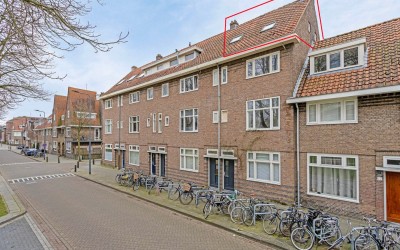 Geldersedam 50-B