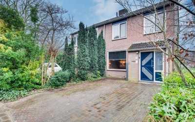 Zuidewijn 4