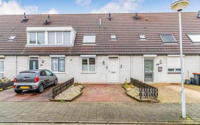 Groen van P. 119