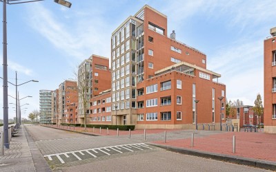 Maasbouleva. 207