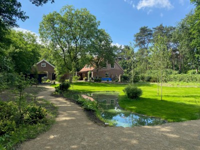 Hooghei 29