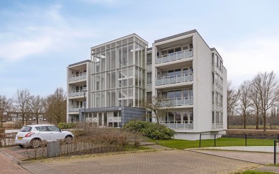IJsvogel 13