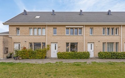 Esculaaphof 56