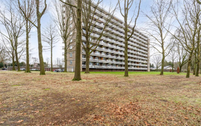 Lisztgaarde 234