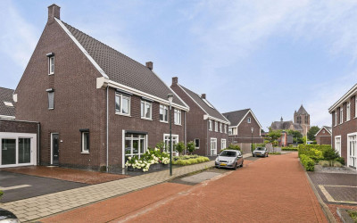 Vrouwkespad 8