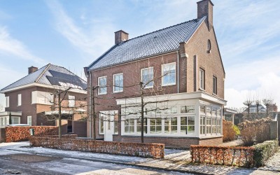 Dotterbloem 31