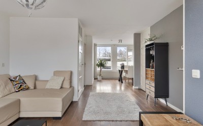 Kruisdistel 63