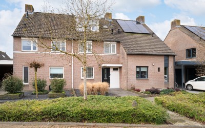 Tarwe 9